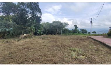 Se vende lote de 1003 M2 en 230 millones en La Mesa Cund, COL