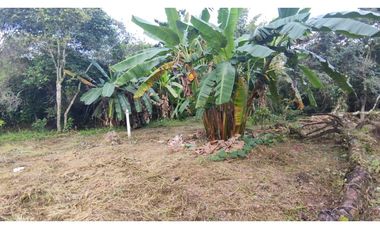 Se vende lote de 1003 M2 en 230 millones en La Mesa Cund, COL