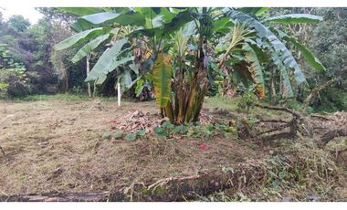 Se vende lote de 1003 M2 en 230 millones en La Mesa Cund, COL