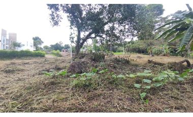 Se vende lote de 1003 M2 en 230 millones en La Mesa Cund, COL