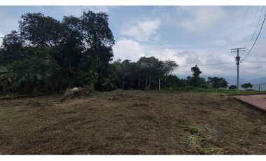 Se vende lote de 1003 M2 en 230 millones en La Mesa Cund, COL