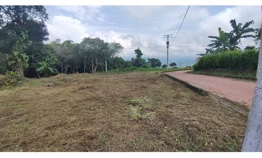 Se vende lote de 1003 M2 en 230 millones en La Mesa Cund, COL