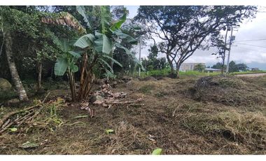 Se vende lote de 1003 M2 en 230 millones en La Mesa Cund, COL