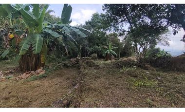 Se vende lote de 1003 M2 en 230 millones en La Mesa Cund, COL