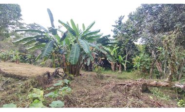 Se vende lote de 1003 M2 en 230 millones en La Mesa Cund, COL