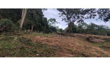Venta de lote de 1600 M2 en La Mesa Cund Colombia, 250 mill negociabl