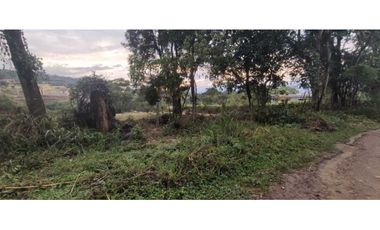 Venta de lote de 1600 M2 en La Mesa Cund Colombia, 250 mill negociabl