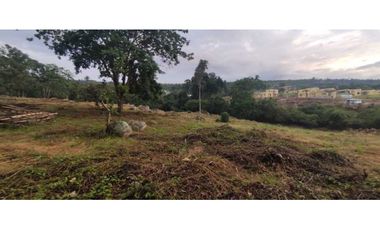 Venta de lote de 1600 M2 en La Mesa Cund Colombia, 250 mill negociabl