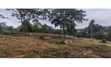 Venta de lote de 1600 M2 en La Mesa Cund Colombia, 250 mill negociabl