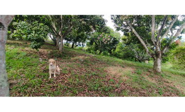 En busqueda de terreno en La Mesa Cund?? Esta es tu oportunidad