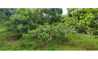 En busqueda de terreno en La Mesa Cund?? Esta es tu oportunidad