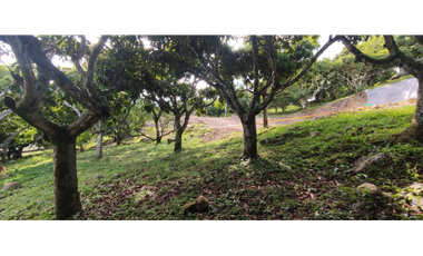 En busqueda de terreno en La Mesa Cund?? Esta es tu oportunidad