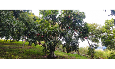 En busqueda de terreno en La Mesa Cund?? Esta es tu oportunidad