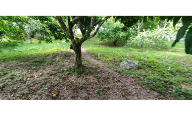 En busqueda de terreno en La Mesa Cund?? Esta es tu oportunidad