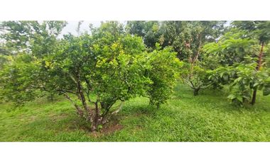 Casalote de 1000 M2 en 650 mill en La Mesa Cund, a 10 min del pueblo.