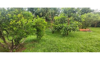 Casalote de 1000 M2 en 650 mill en La Mesa Cund, a 10 min del pueblo.