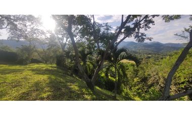 Se vende lote de 2390 en 170 millones en La Mesa Cund, COL.