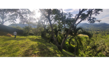 Se vende lote de 2390 en 170 millones en La Mesa Cund, COL.