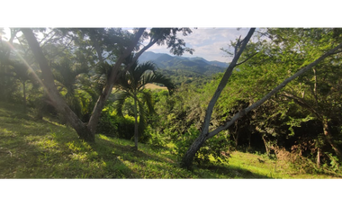 Se vende lote de 2390 en 170 millones en La Mesa Cund, COL.