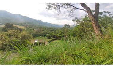 Se vende lote de 2473 M2 en 170 mill en La Mesa cund, Colombia