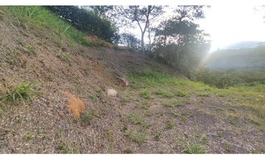 Se vende lote de 2473 M2 en 170 mill en La Mesa cund, Colombia