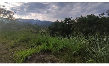 Se vende lote de 2473 M2 en 170 mill en La Mesa cund, Colombia