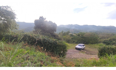 Se vende lote de 2473 M2 en 170 mill en La Mesa cund, Colombia