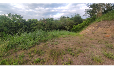 Se vende lote de 2473 M2 en 170 mill en La Mesa cund, Colombia