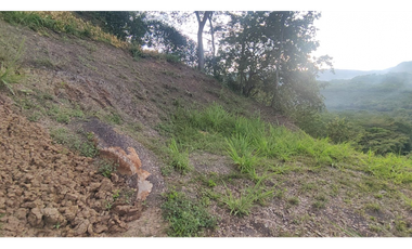 Se vende lote de 2473 M2 en 170 mill en La Mesa cund, Colombia