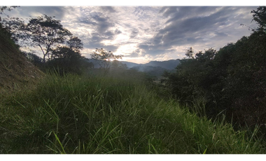 Se vende lote de 2473 M2 en 170 mill en La Mesa cund, Colombia