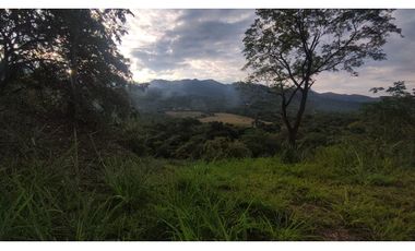 Se vende lote de 2473 M2 en 170 mill en La Mesa cund, Colombia