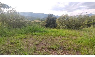 Se vende lote de 2473 M2 en 170 mill en La Mesa cund, Colombia
