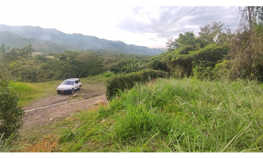 Se vende lote de 2473 M2 en 170 mill en La Mesa cund, Colombia