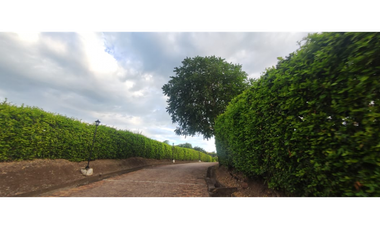 Se vende lote de 2473 M2 en 170 mill en La Mesa cund, Colombia