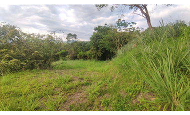 Se vende lote de 2473 M2 en 170 mill en La Mesa cund, Colombia