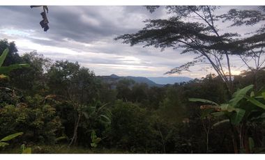 Venta de finca de 5200 M2 en 399 mill en La Mesa Cund, Colombia