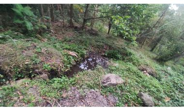 Venta de finca de 5200 M2 en 399 mill en La Mesa Cund, Colombia