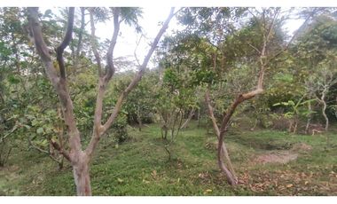 Venta de finca de 5200 M2 en 399 mill en La Mesa Cund, Colombia