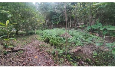 Venta de finca de 5200 M2 en 399 mill en La Mesa Cund, Colombia