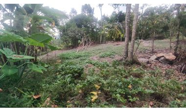 Venta de finca de 5200 M2 en 399 mill en La Mesa Cund, Colombia