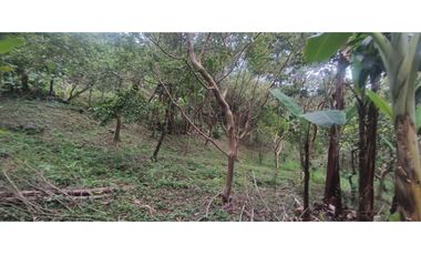 Venta de finca de 5200 M2 en 399 mill en La Mesa Cund, Colombia