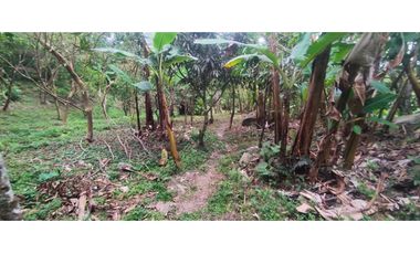 Venta de finca de 5200 M2 en 399 mill en La Mesa Cund, Colombia