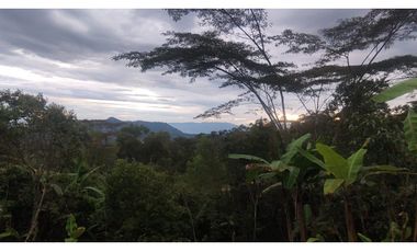 Venta de finca de 5200 M2 en 399 mill en La Mesa Cund, Colombia