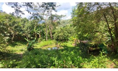 Venta de finca de 2 hectáreas en 550 millones en La Mesa Cund, Col