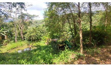 Venta de finca de 2 hectáreas en 550 millones en La Mesa Cund, Col