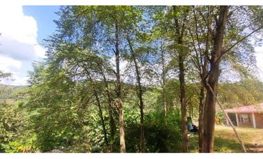 Venta de finca de 2 hectáreas en 550 millones en La Mesa Cund, Col