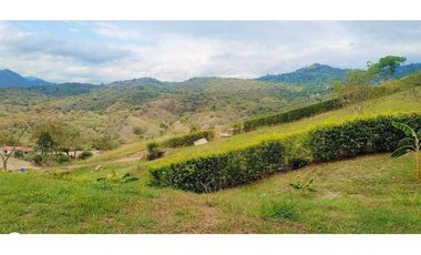 Venta de lote de 165 mill de 1700 en La Mesa Cund Colombia.