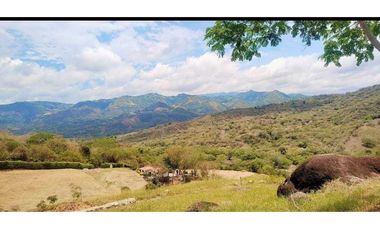 Venta de lote de 165 mill de 1700 en La Mesa Cund Colombia.