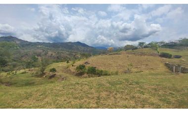 Venta de lote de 165 mill de 1700 en La Mesa Cund Colombia.