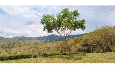 Venta de lote de 165 mill de 1700 en La Mesa Cund Colombia.